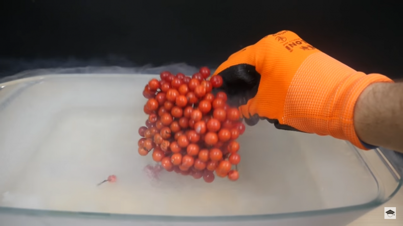 Sebzelerin Adeta Tuza Dönüştüğü, İzlemesi Acaip Keyifli Sıvı Nitrojen Deneyi
