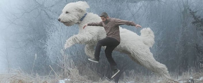 Maestro de Photoshop convirtiendo a su perro en una bestia gigante